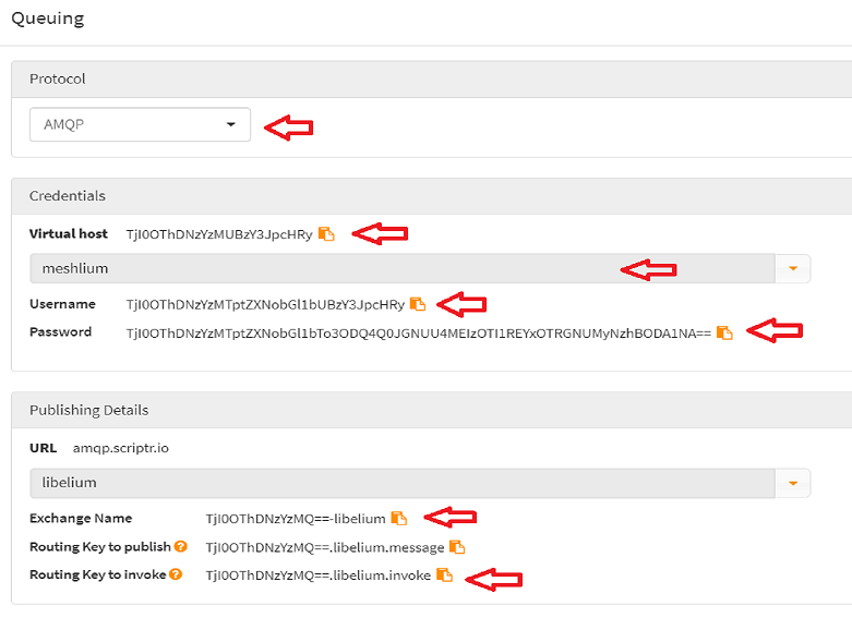 Figure : AMQP configuration from scriptr.io