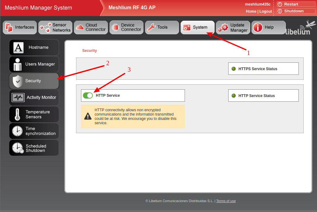 Figure : Manager System, activating the HTTP Service