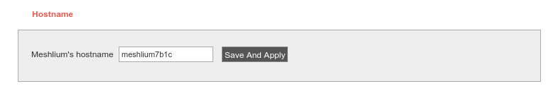 Figure : Hostname change form