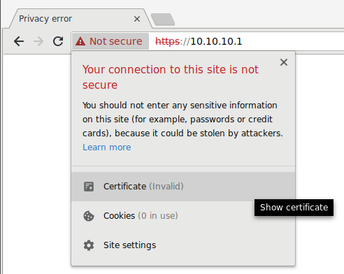 Figure : Show the self-signed certificate in Chrome